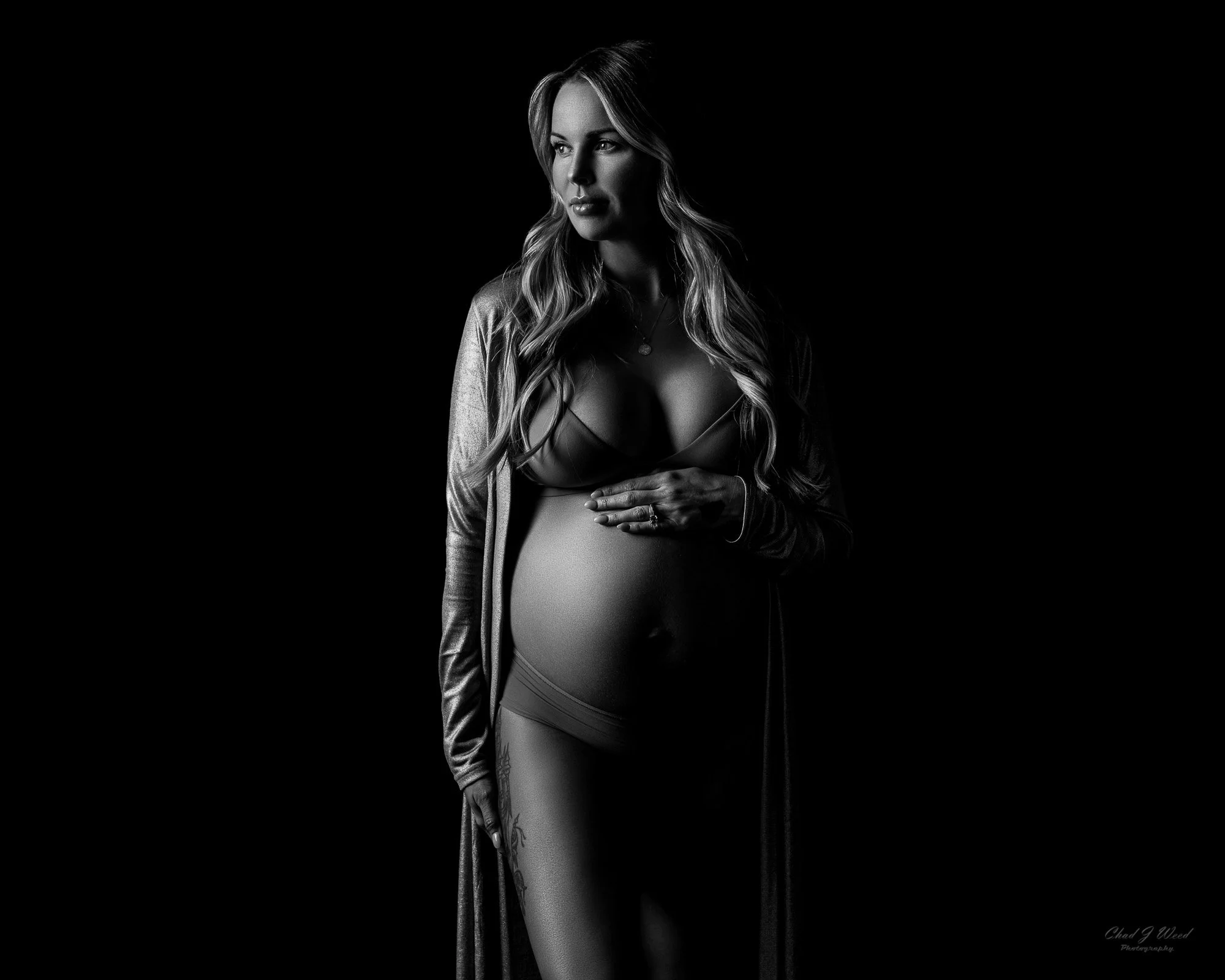 Silhouette of Pregnant woman in a robe and lingerie holding her belly