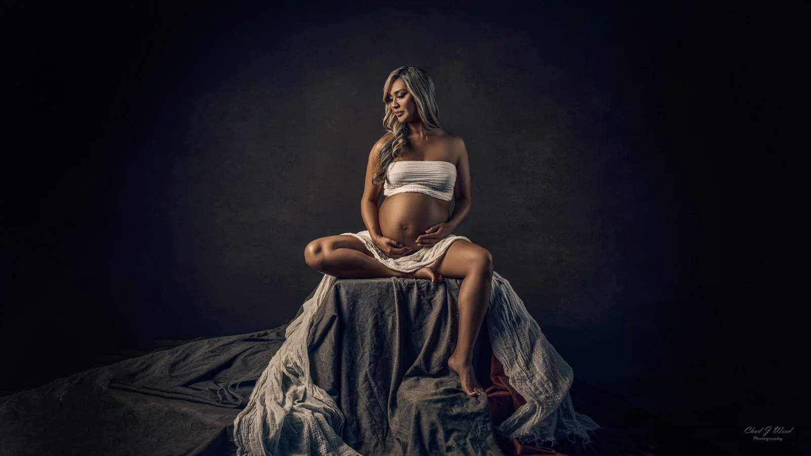 Fine Art Maternity Photography: Pregnant woman posing gracefully in a fine art photo