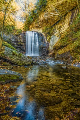 Looking Glass Falls in the Fall