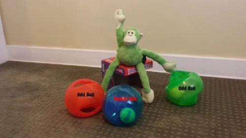 Think Dog 4 with monkey.jpg