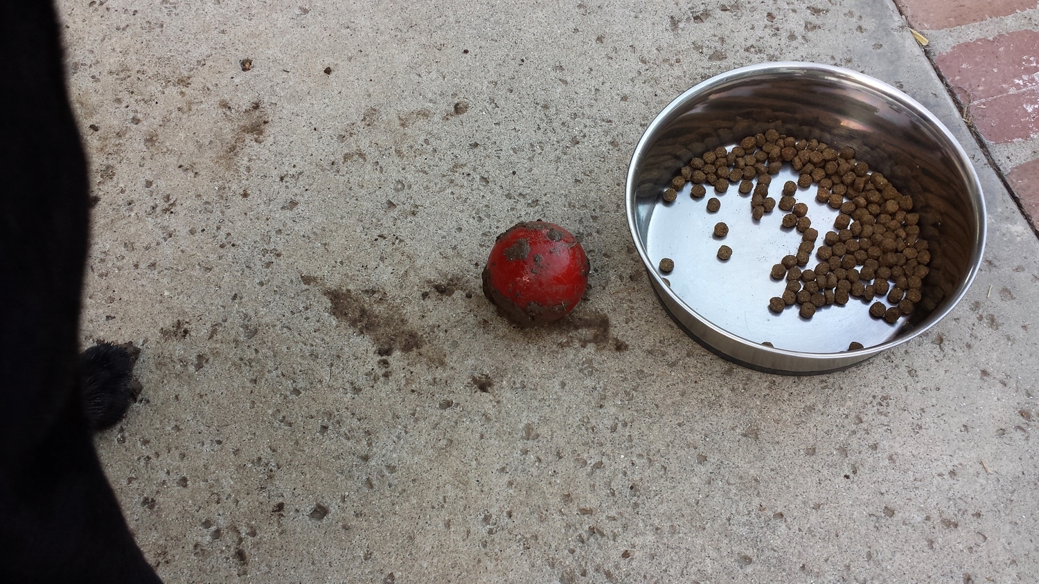 The Zoink! ball is never far way!