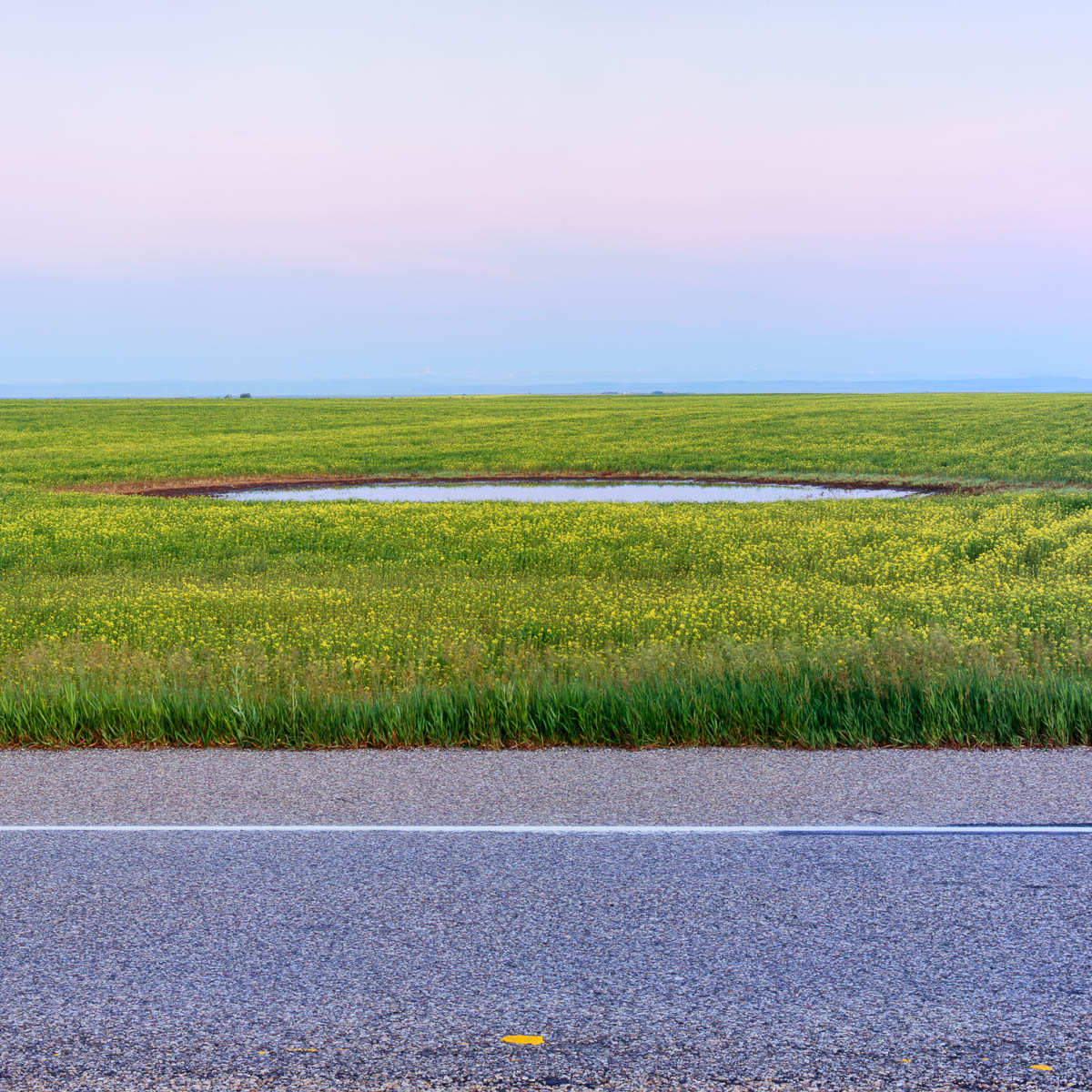 Pond, Alberta, 2005