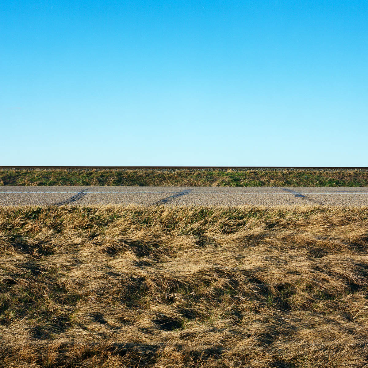 Three Stripes, Alberta, 2005