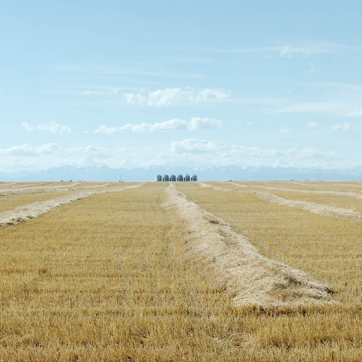 Six Bins, Alberta, 2005