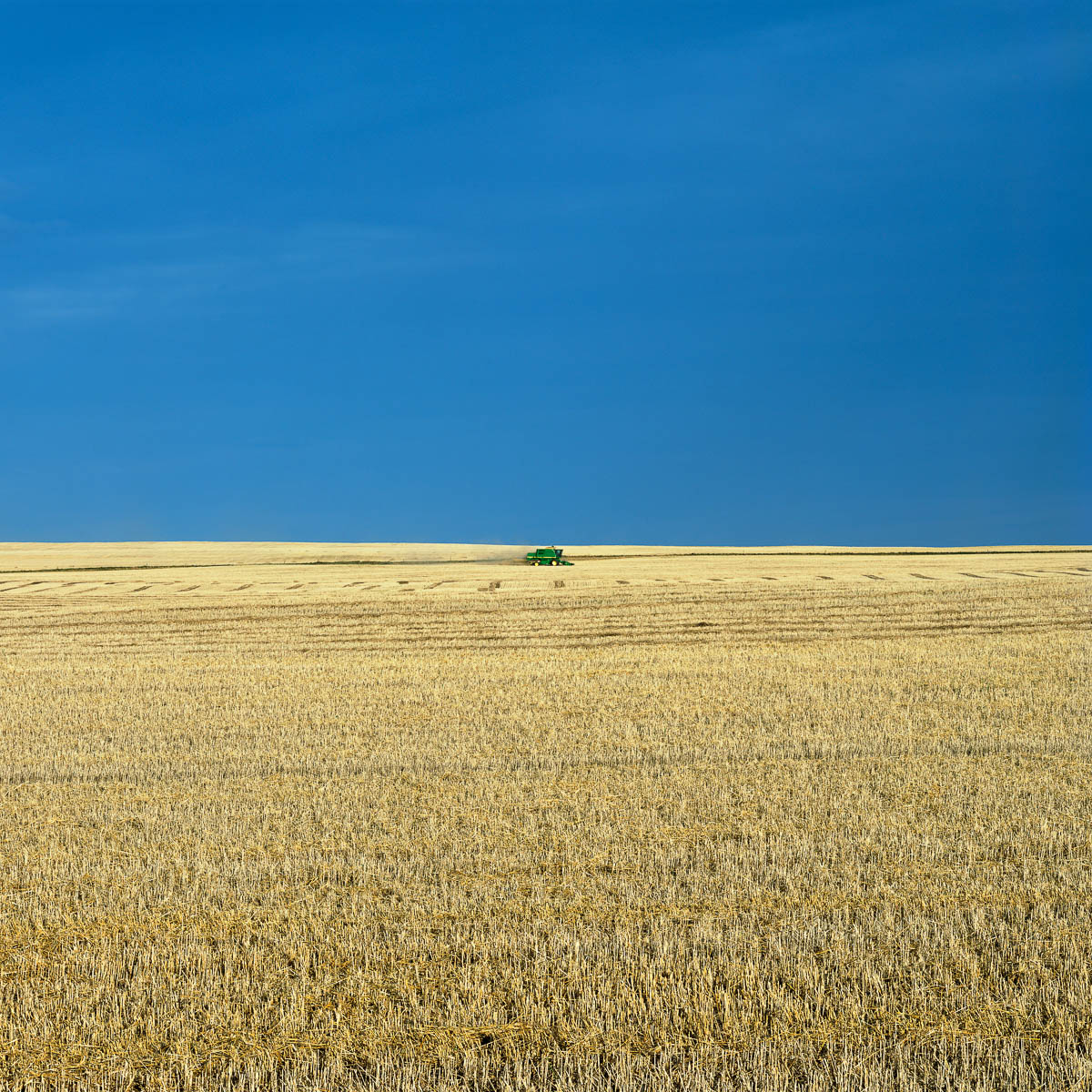 Tractor, Alberta, 2005