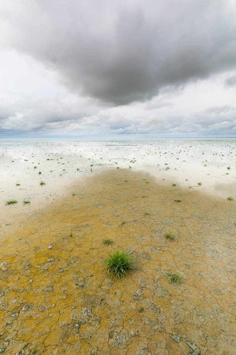 Punctuation Point, Beaverhill Lake, 2004