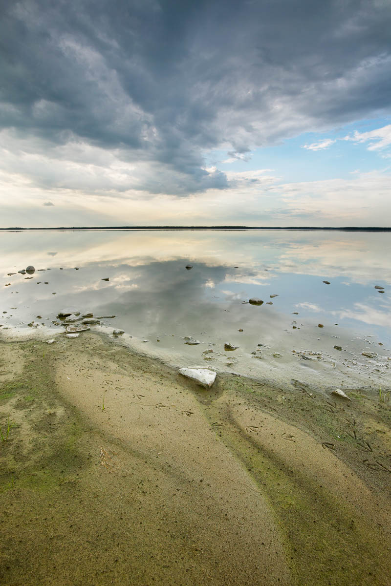 Swirl, Cooking Lake, 2004