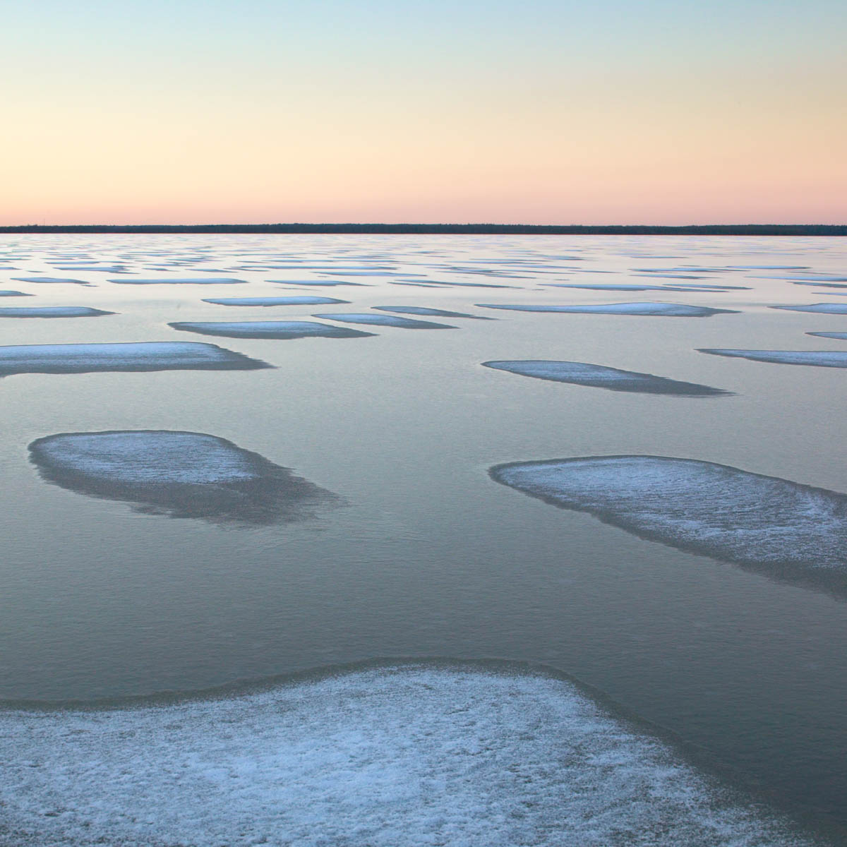 Patches, Cooking Lake, 2004