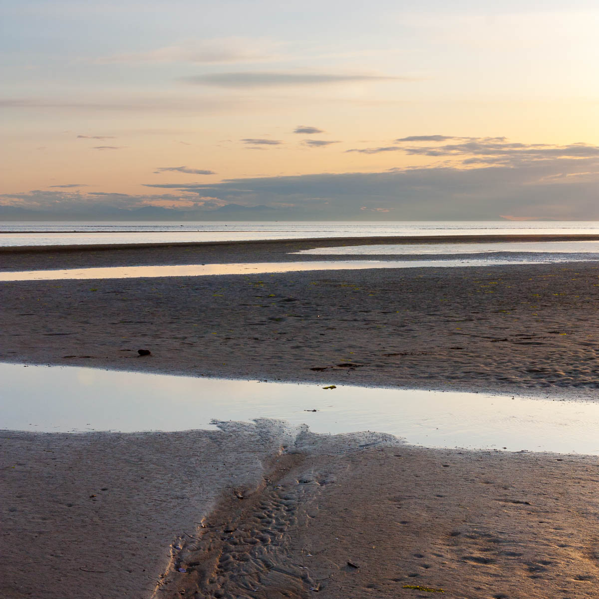 Sand Patterns, May, 2014