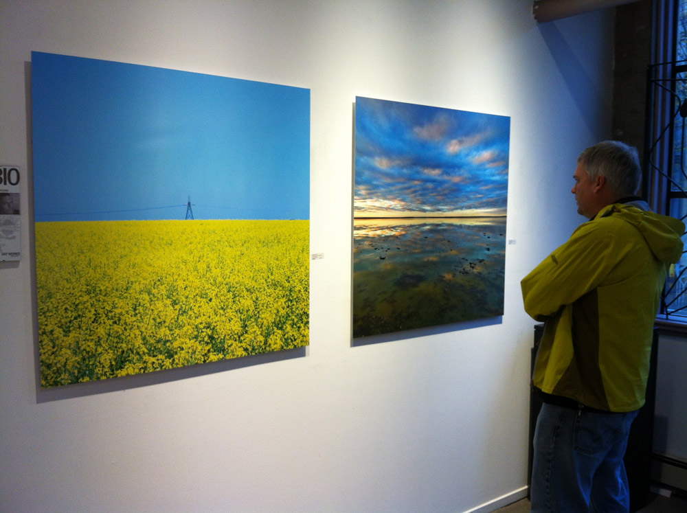 Eric Fredine at Artworks Gallery Exhibition, 2013