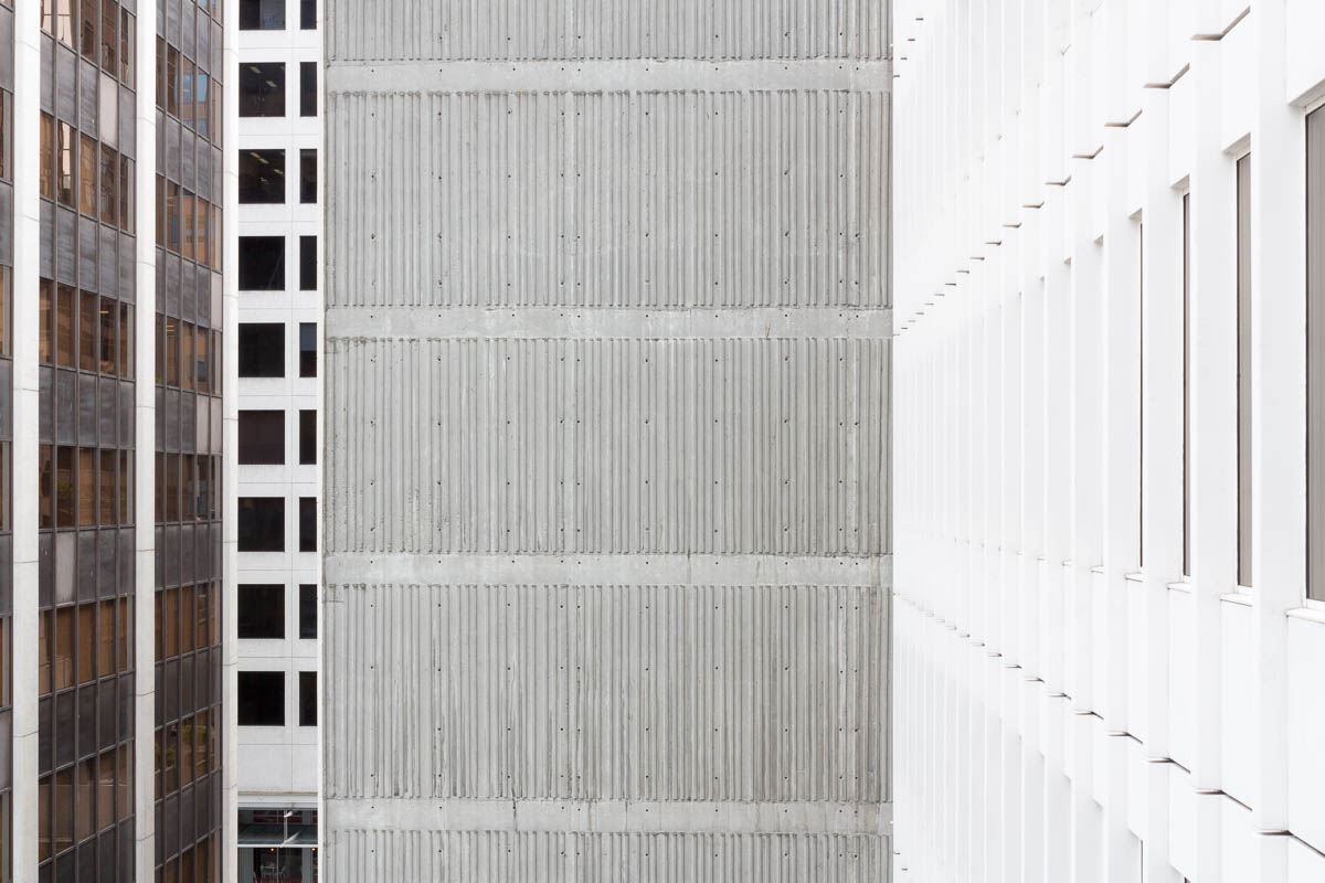 Among the Towers, Vancouver, 2014