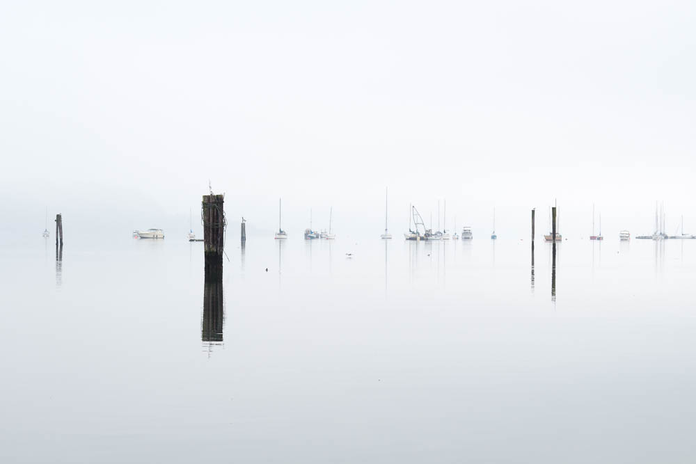 Cowichan Bay, 2015