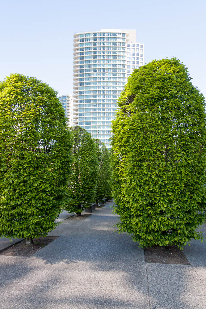 Groomed, Vancouver, 2013