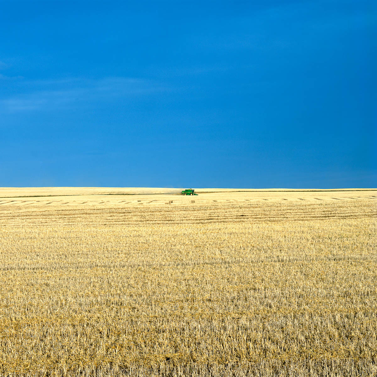 Tractor, Alberta, 2005