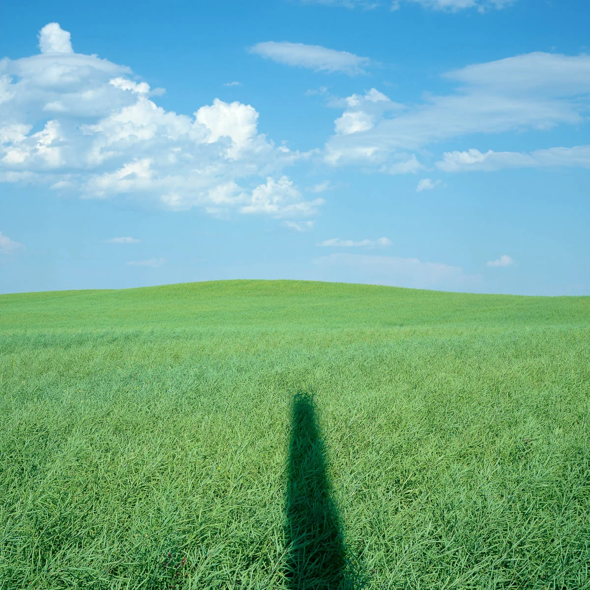 Prairie Sundial, Alberta, 2005