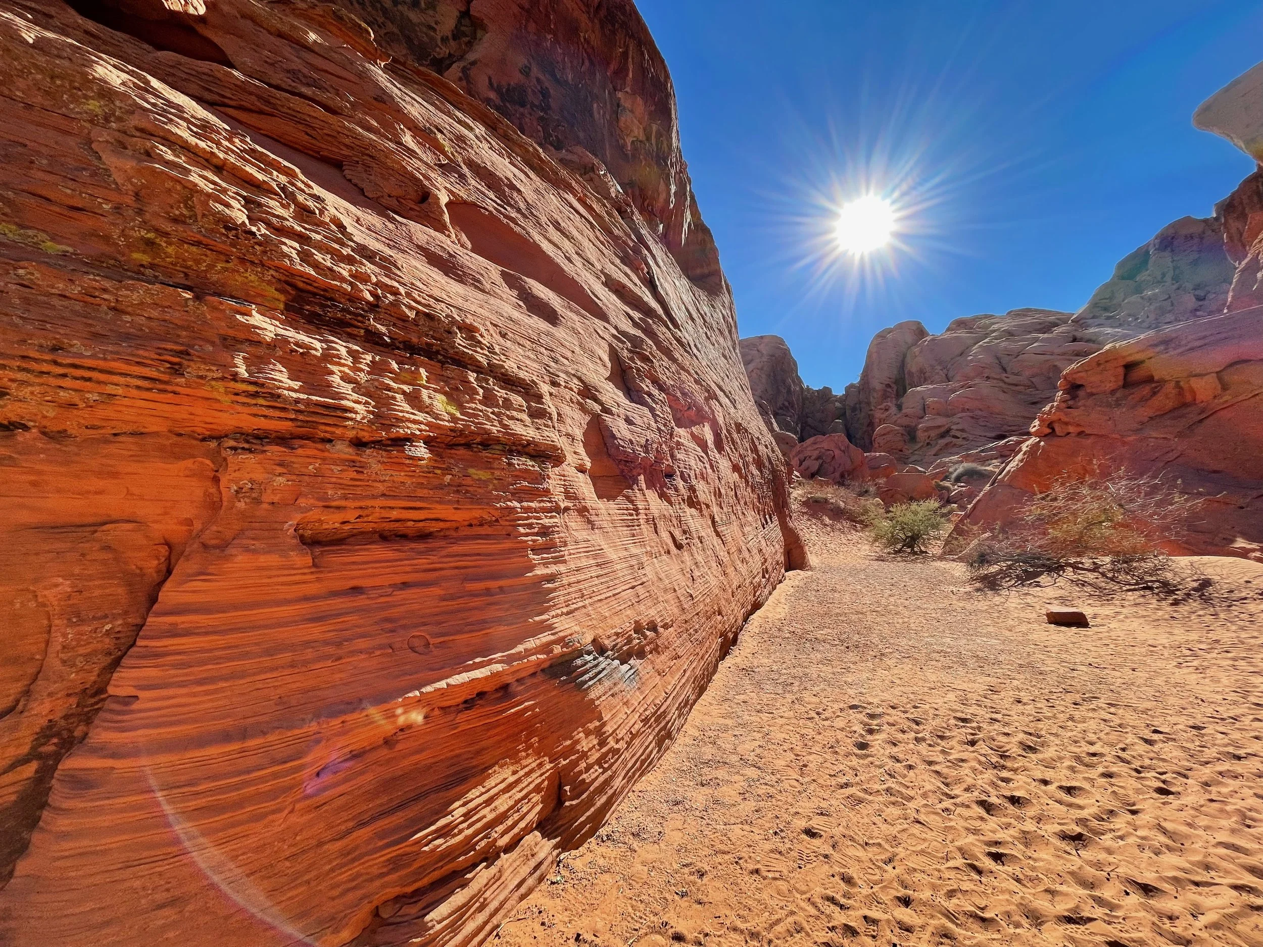 Alive and well in San Miguel!