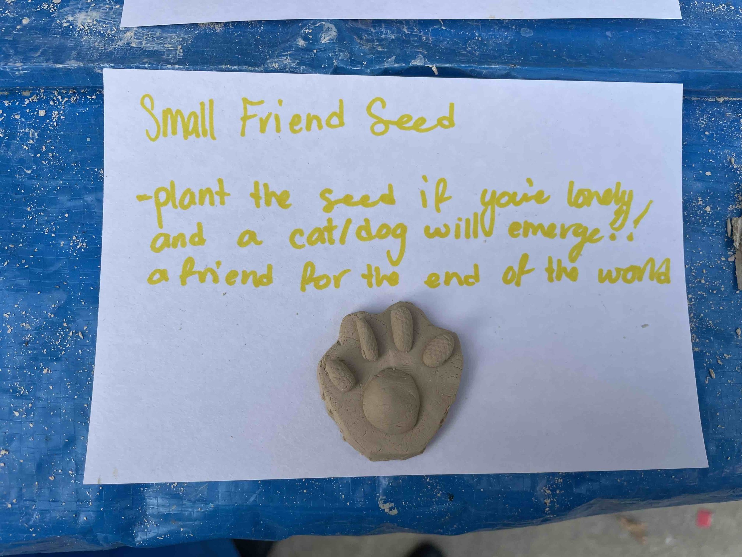 Cal March 2022 workshop - Small friend seed.jpeg
