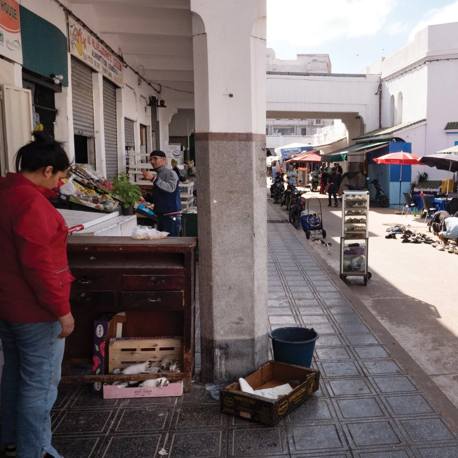 P1770636.jpg