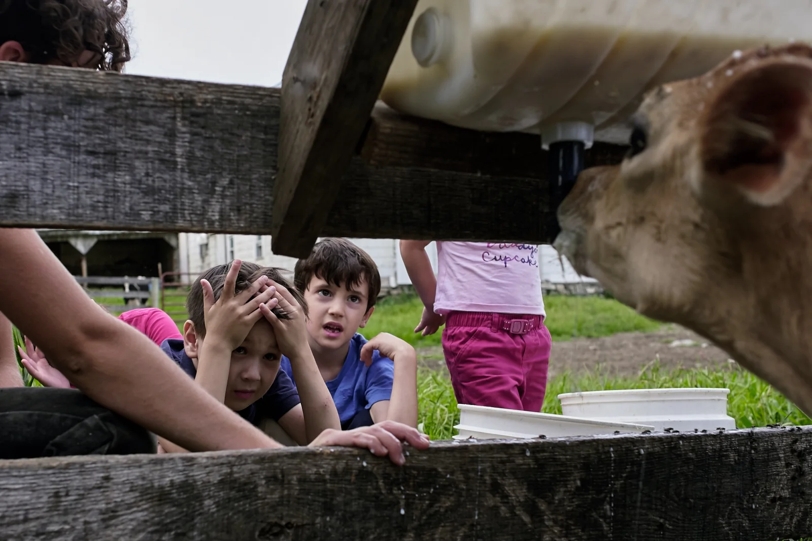 whergt_140816_7687.jpg