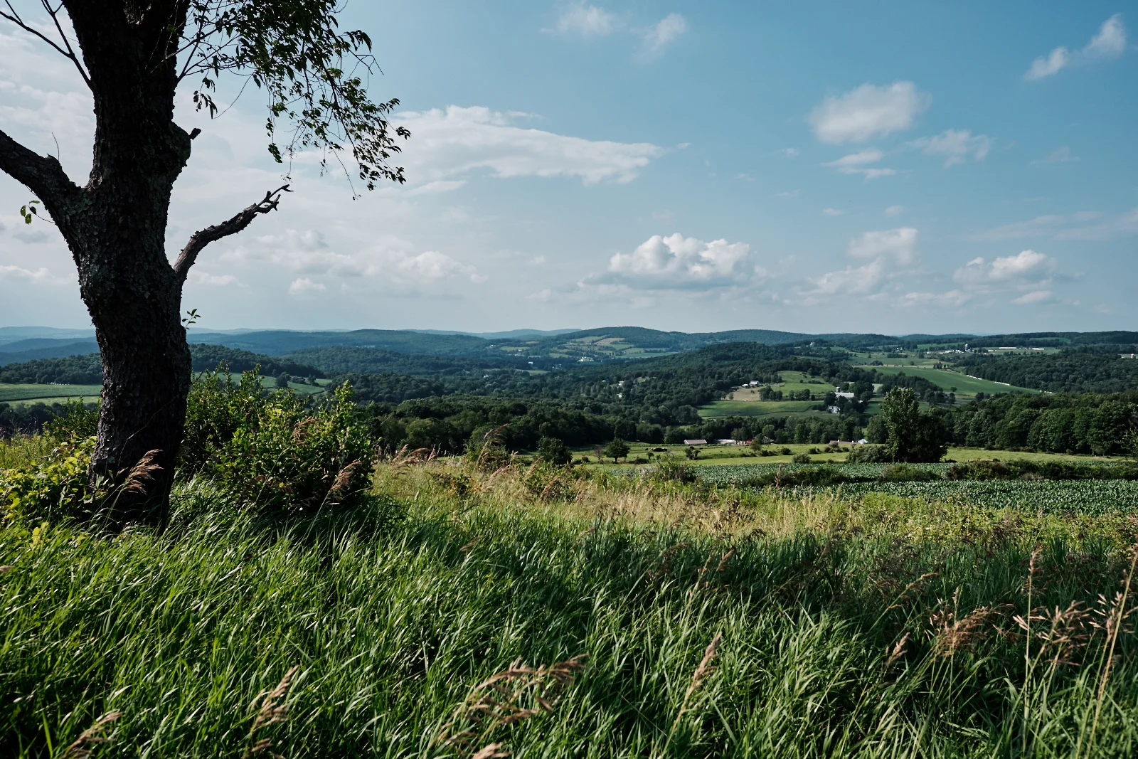 150718_DSF6229.jpg
