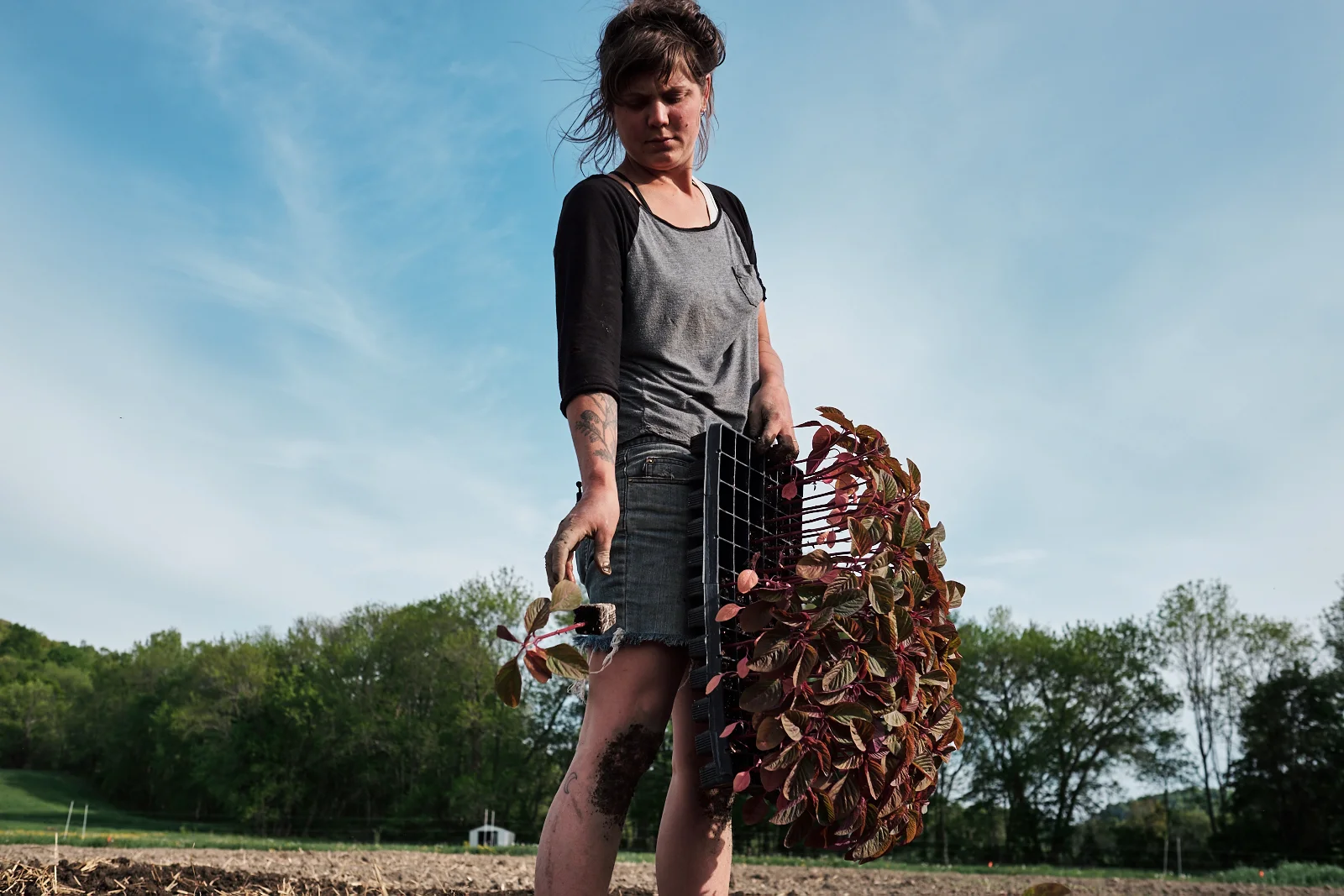 whergt_150515_9658.jpg