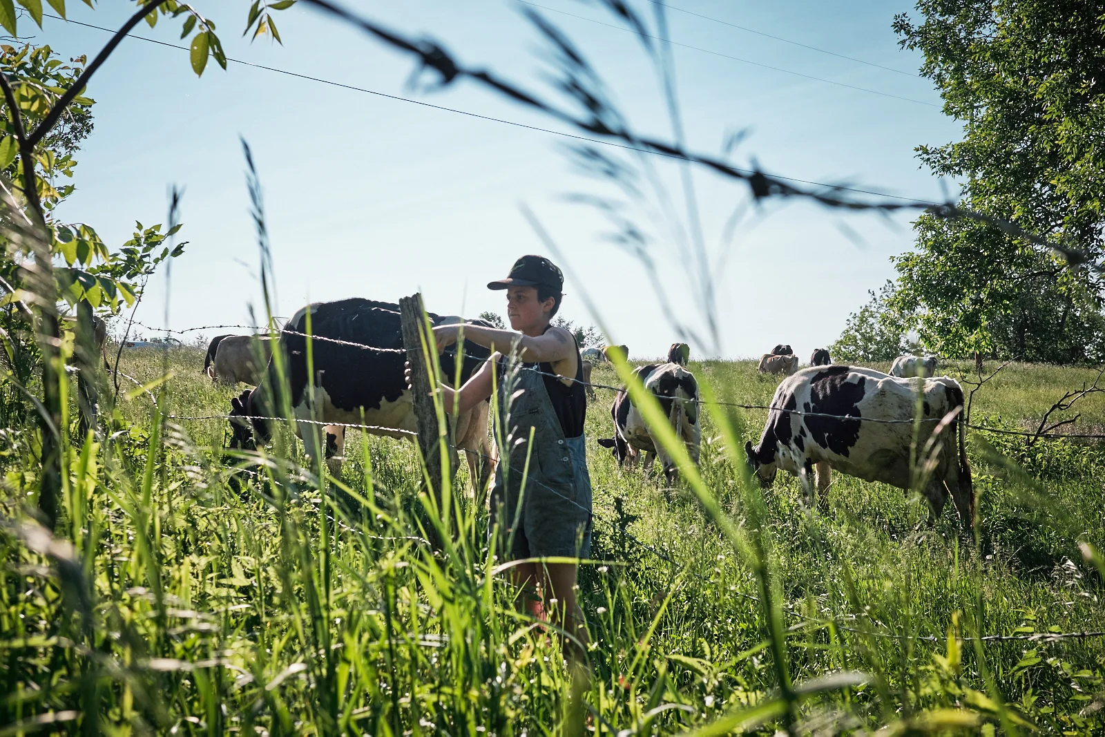 whergt_150606_1354.jpg