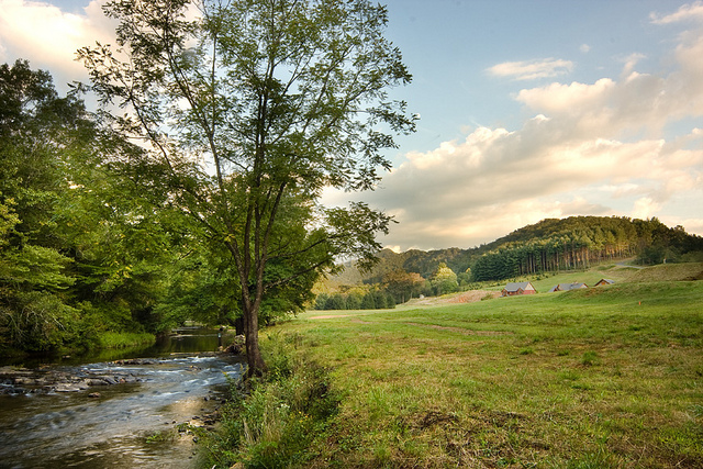 sundrops_caney_for_creek.jpg