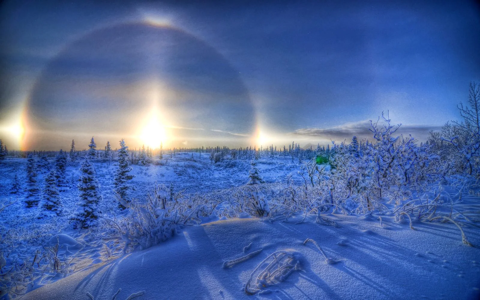 sundog.jpg