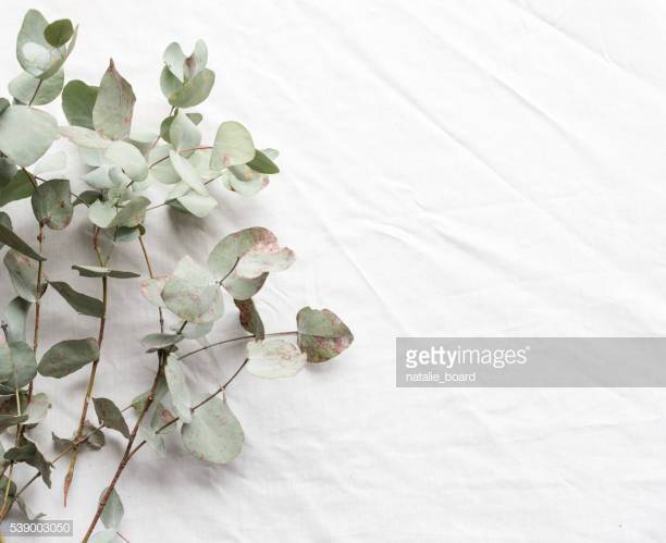 Photo by natalie_board/iStock / Getty Images