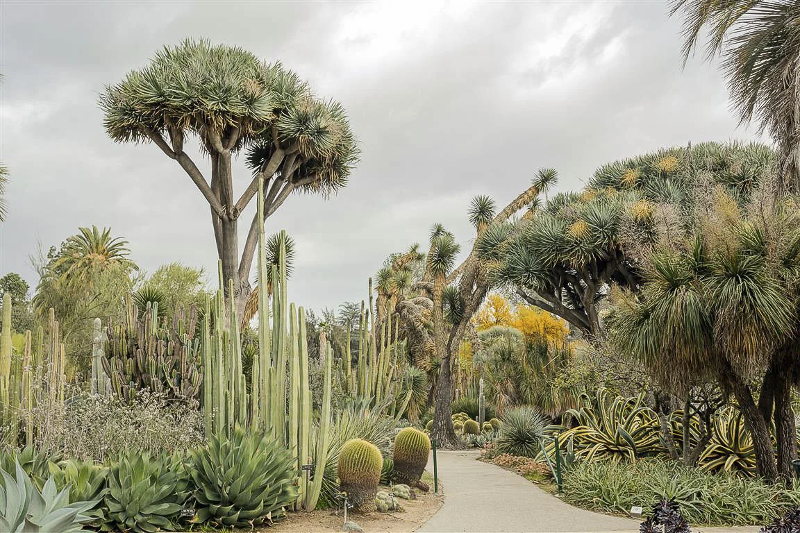 Christian Klugmann - Huntington Library_16.JPG