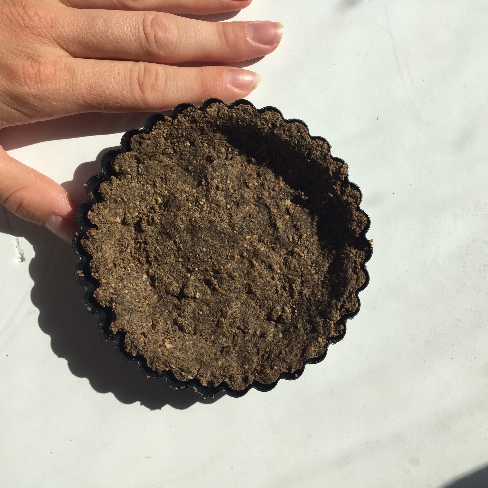 gluten free healthy pie crust from My New Roots