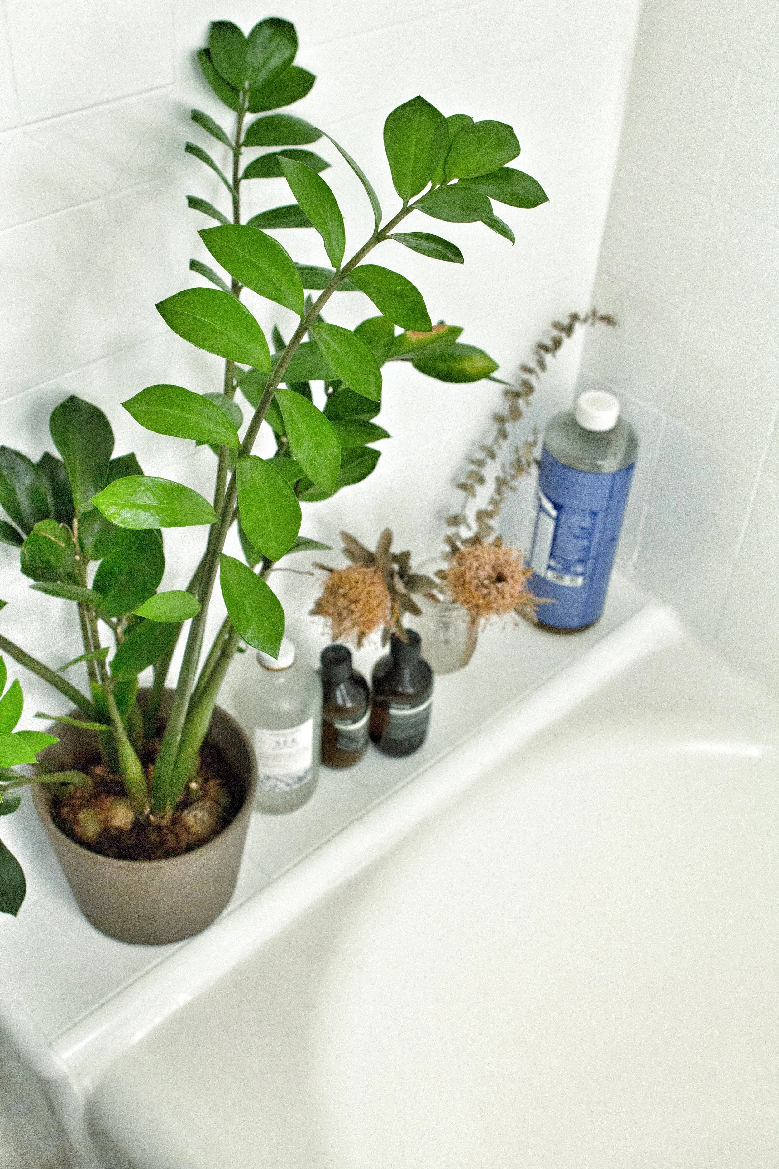 my bathtub ledge. I put all my plants and soaps here. Gotta love that big container of Dr. Bronner's!