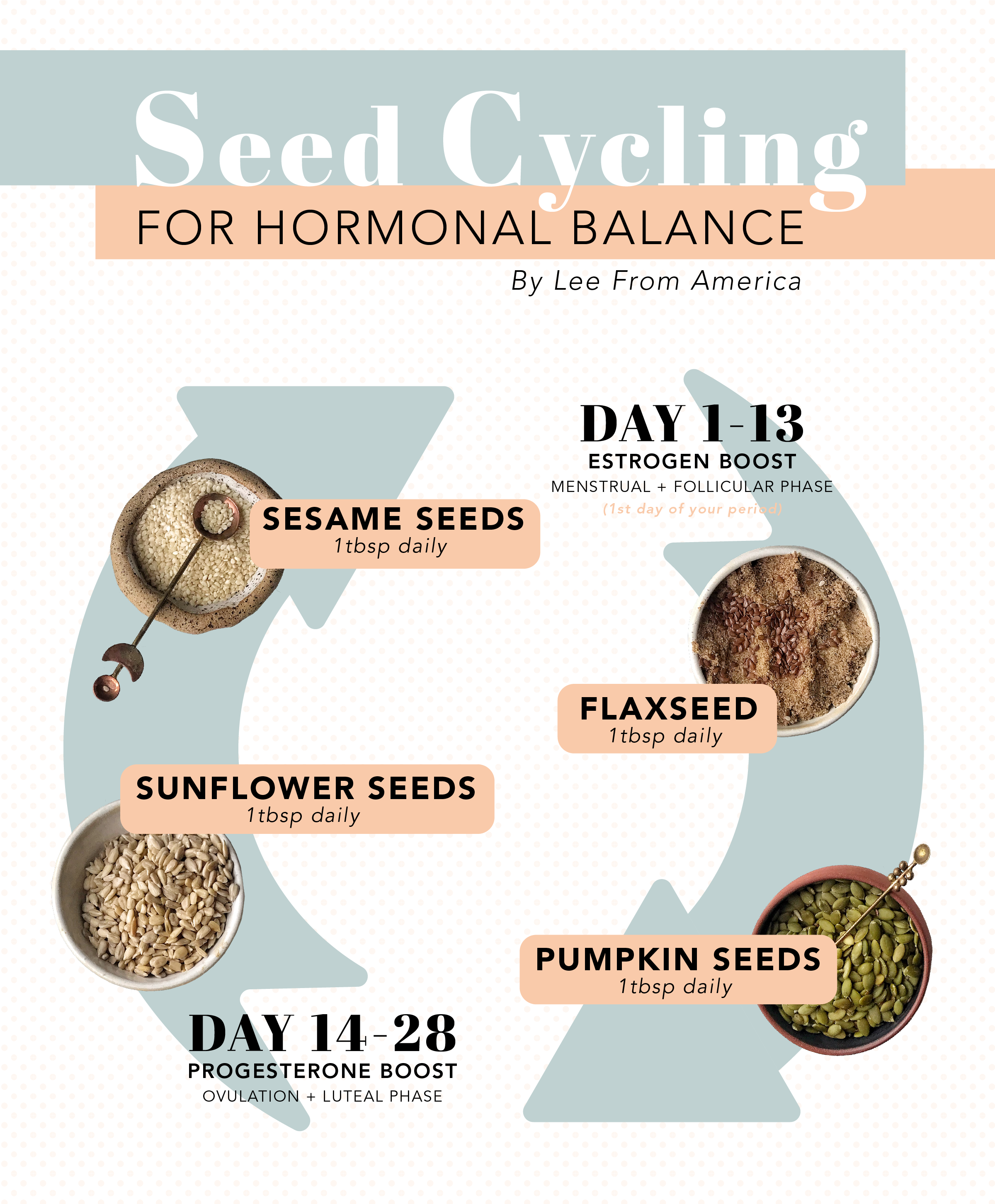 Seed_Cycling-01.png