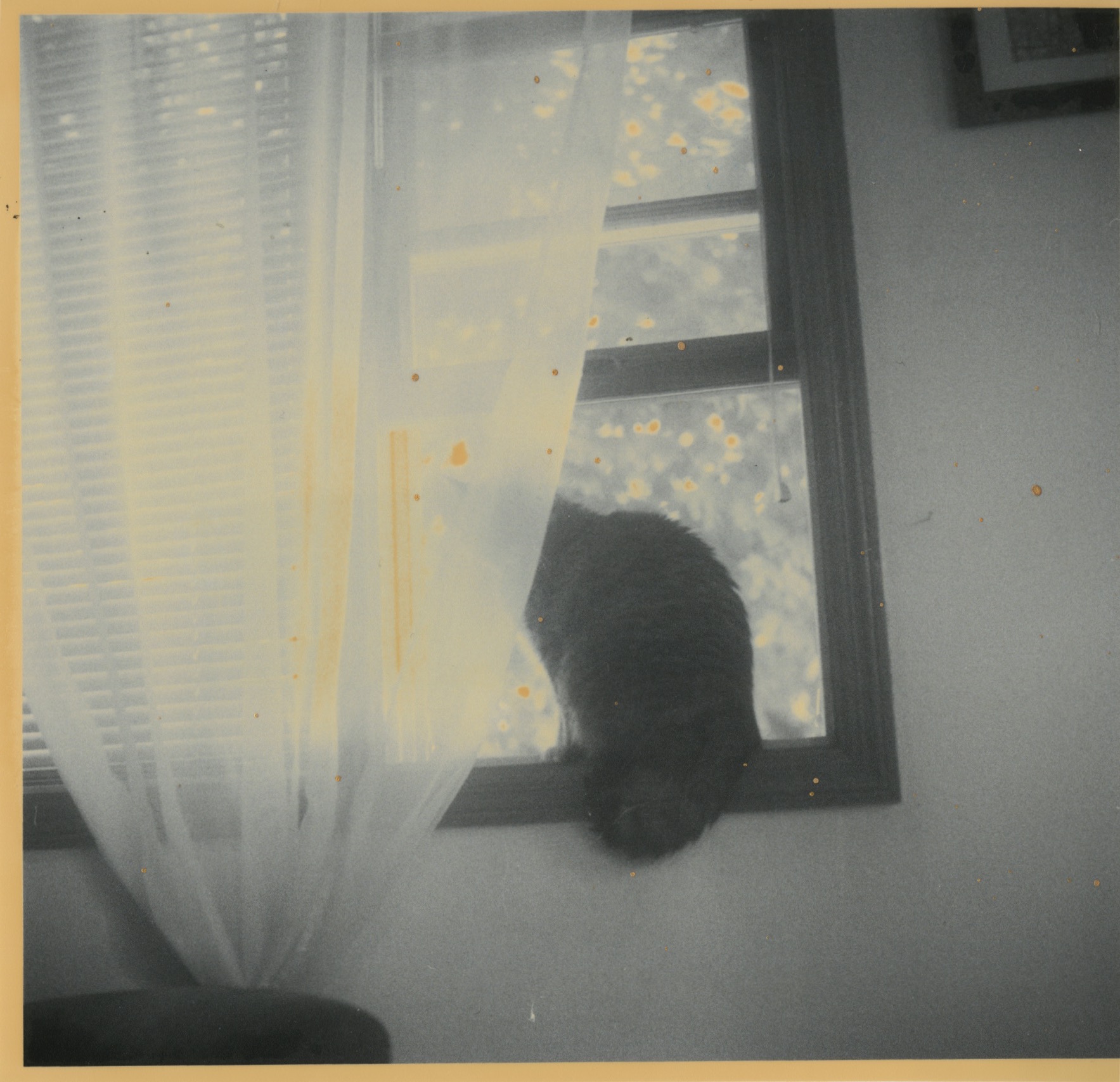 Scan 1 copy 2.jpeg