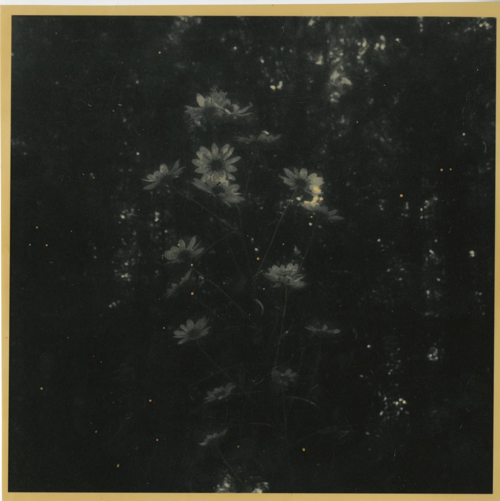 Scan 2.jpeg