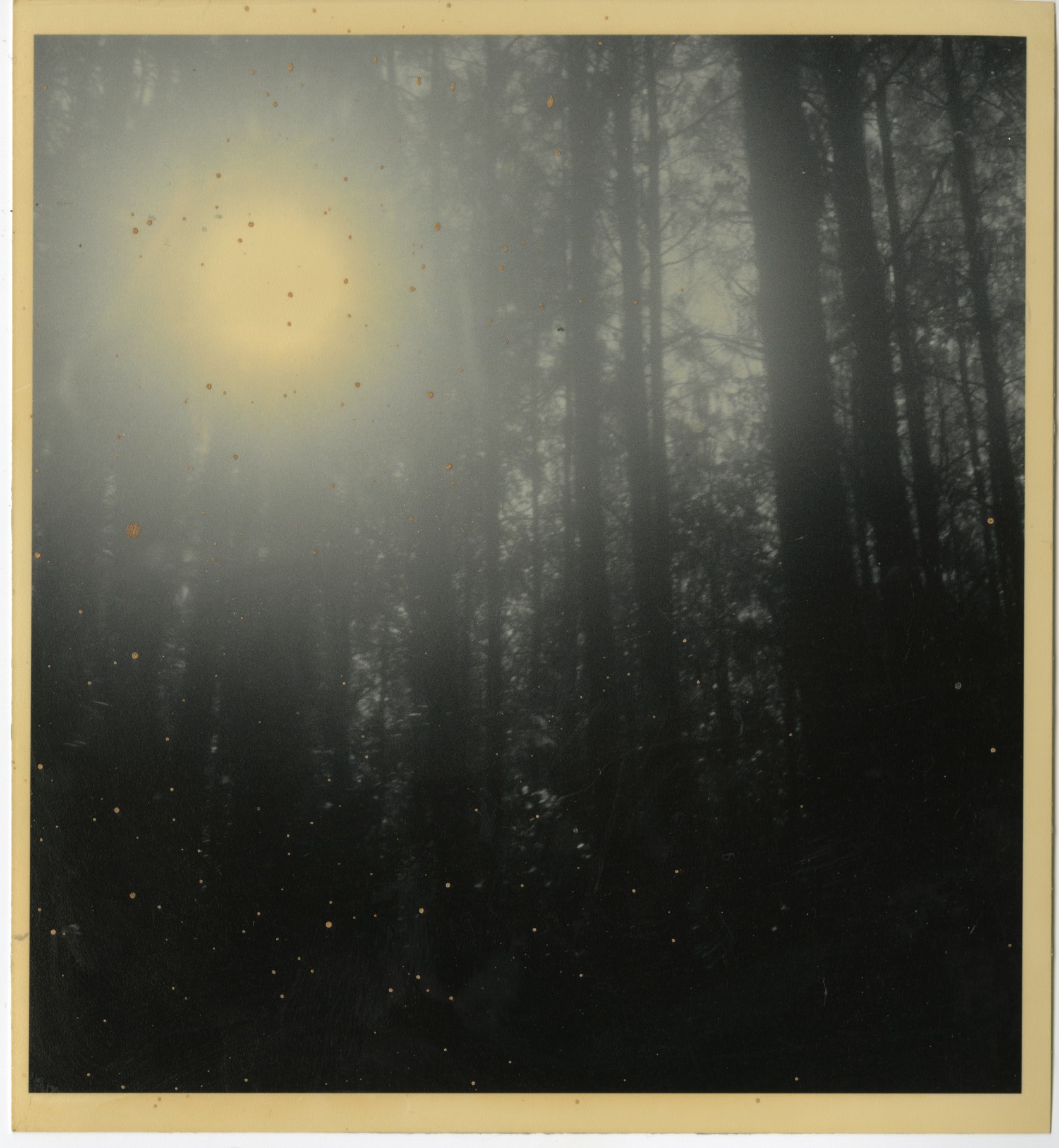 Scan 3.jpeg