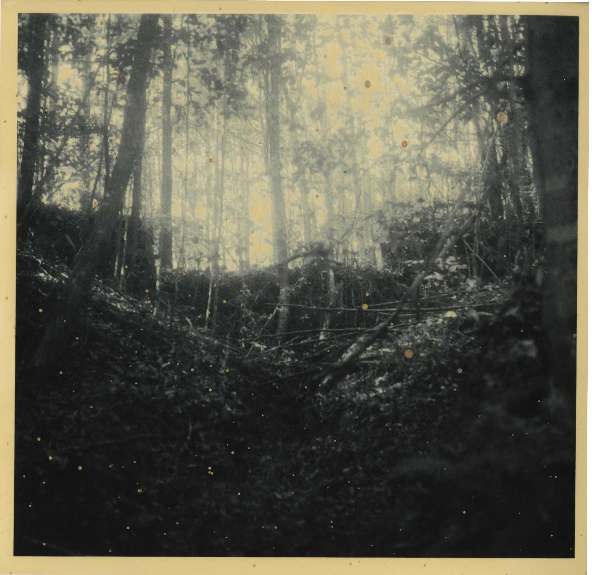 Scan 6.jpeg