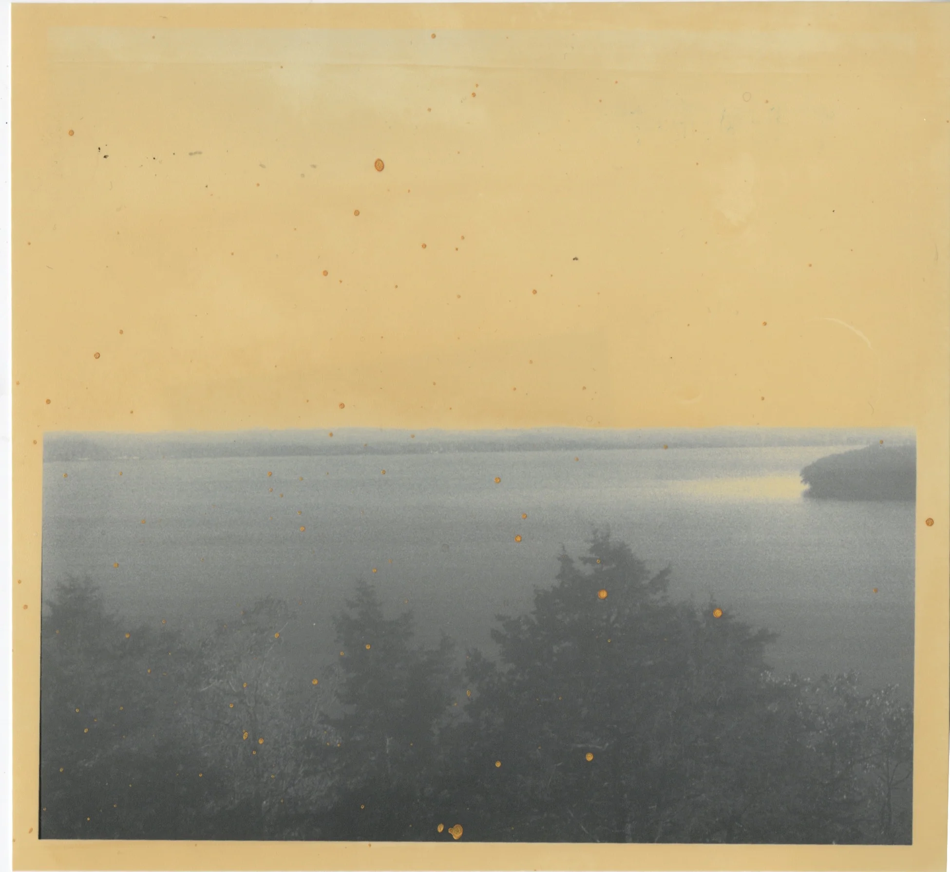 Scan 9.jpeg