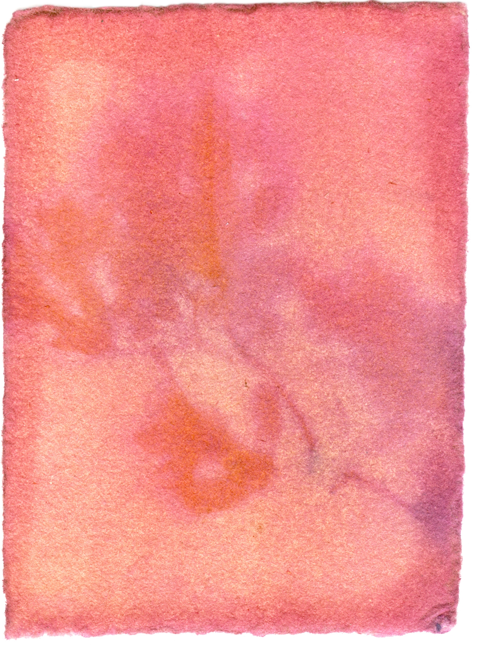 Malus Floribunda with Rhododendron Emulsion with Achiote Undercoat, 3.5" x 2.5", 2018