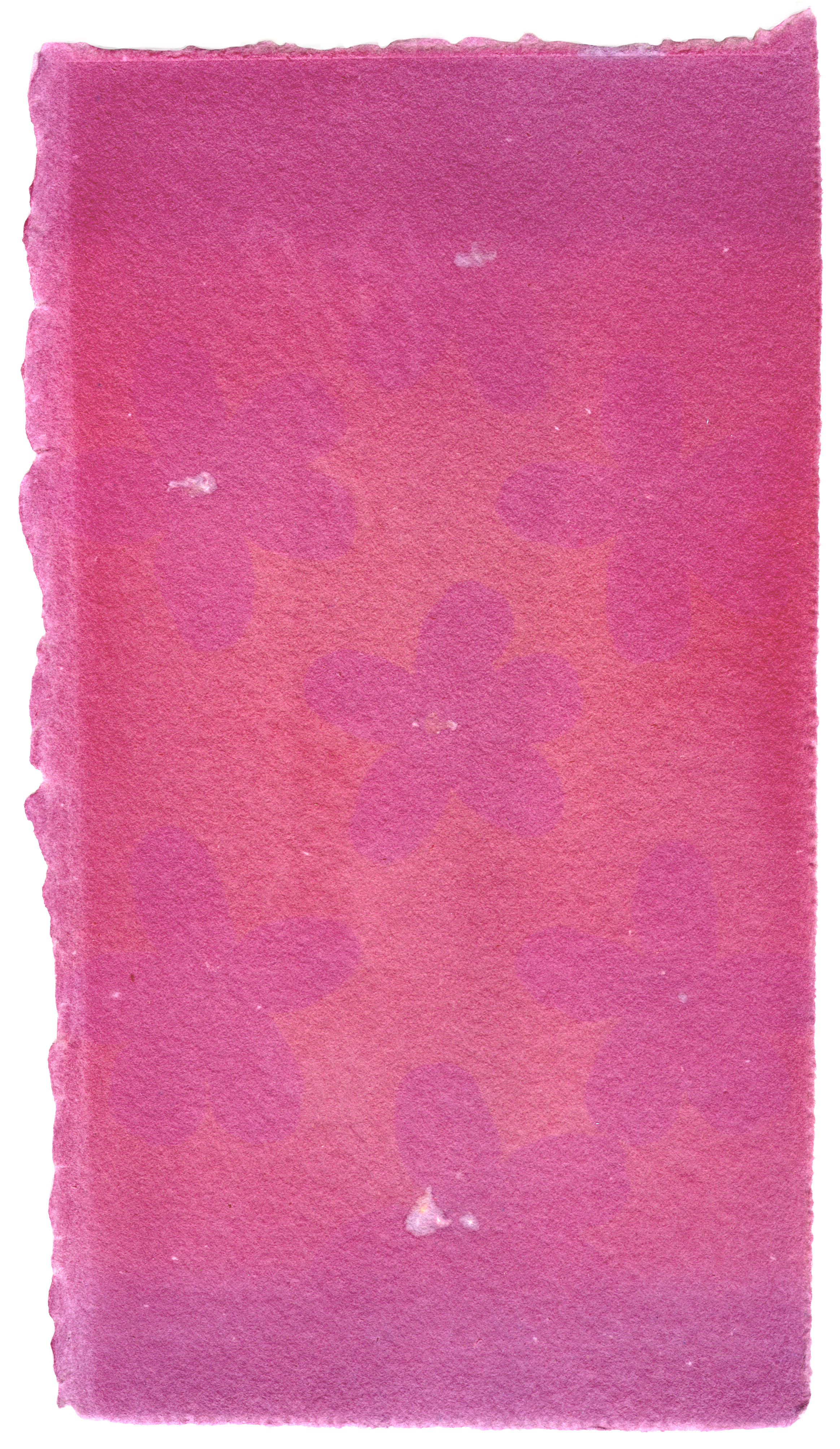 Red Rhododendron Ferrugineum Flowers with Red Rhododendron Ferrugineum Emulsion, 6.5" x 3.5", 2018