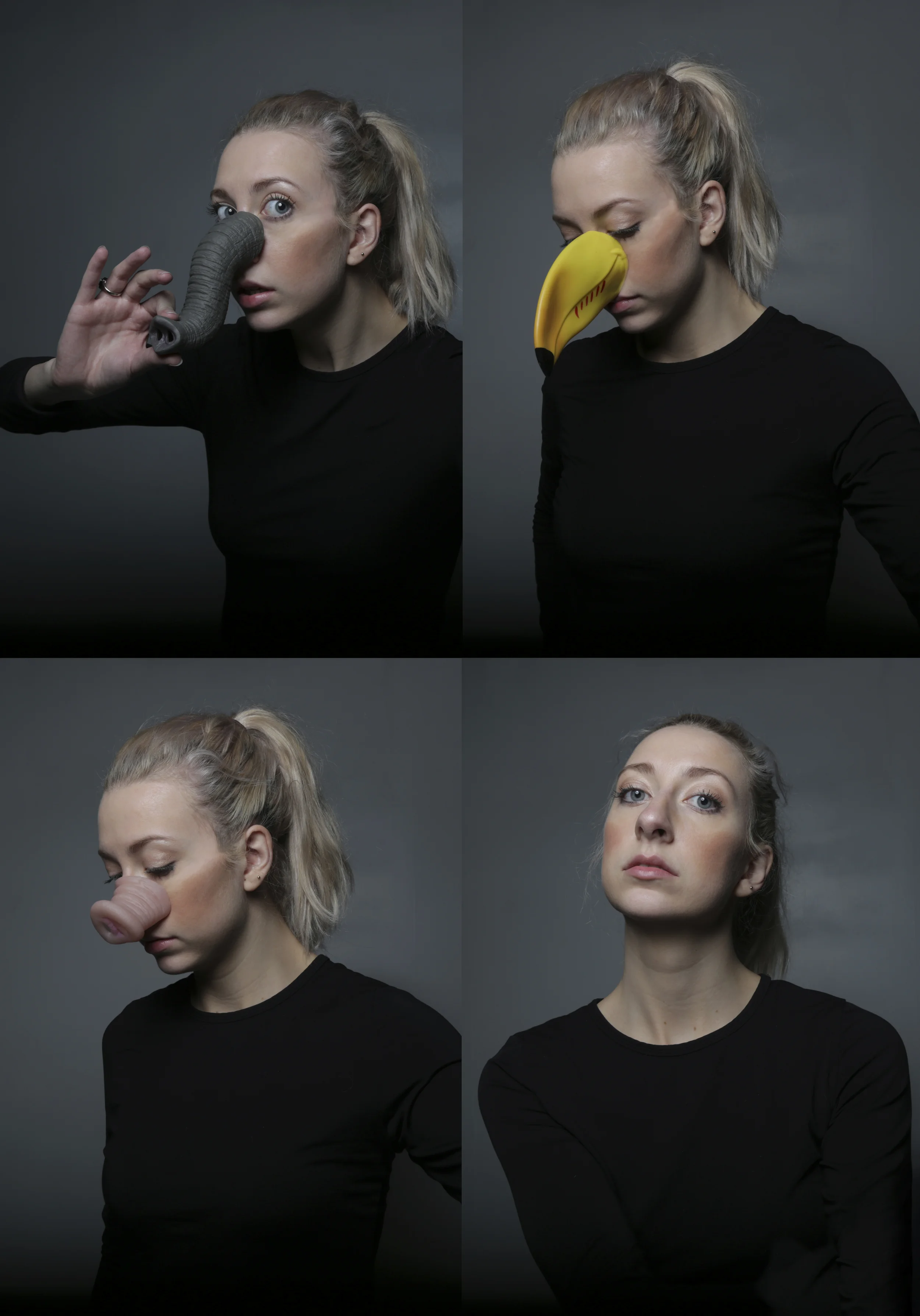 noses grid.jpg