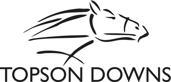 topson downs