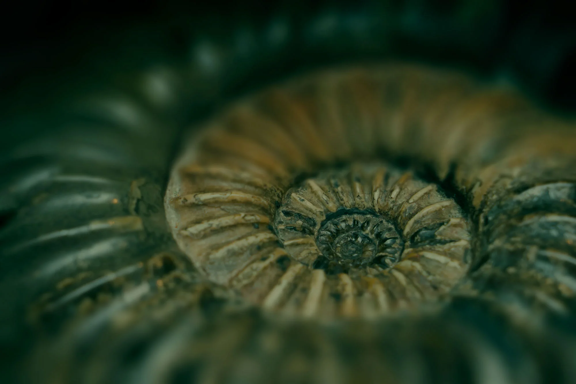 portfolio-header.jpg