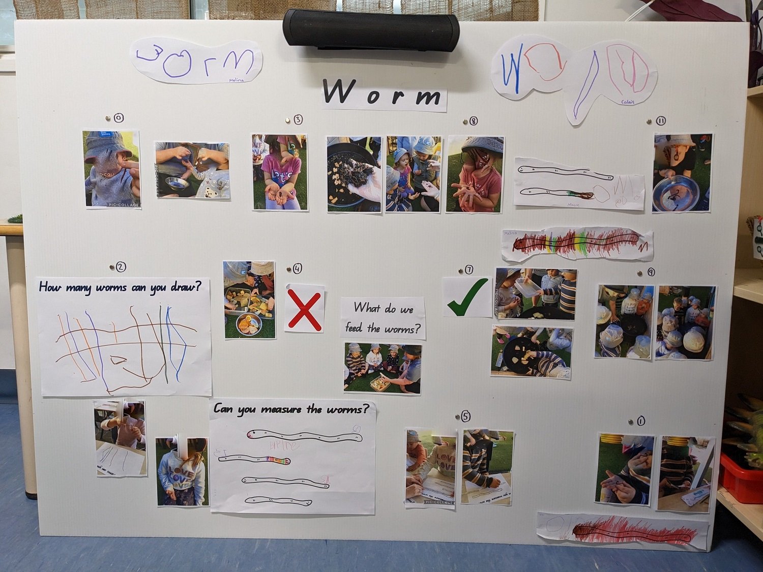 worm touchboard.jpg