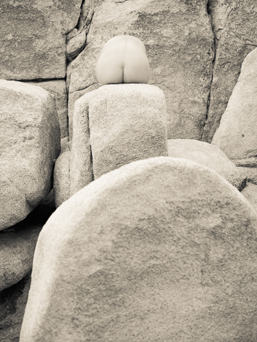 Peripheral Vision, Joshua Tree