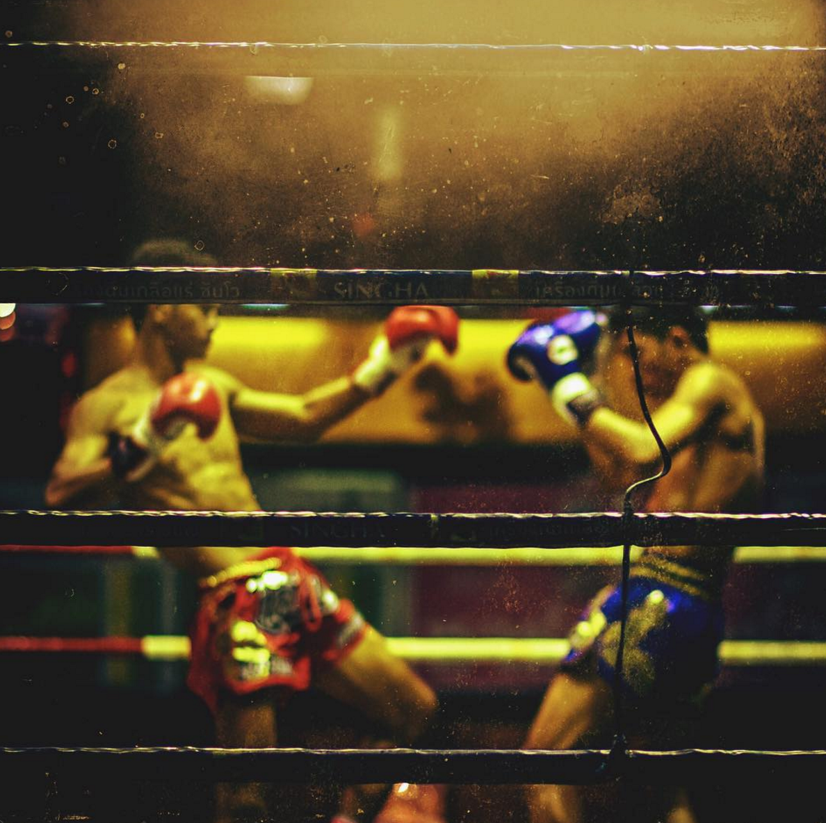 RING SIDE FASCINATION WITH A HINT OF GUILT