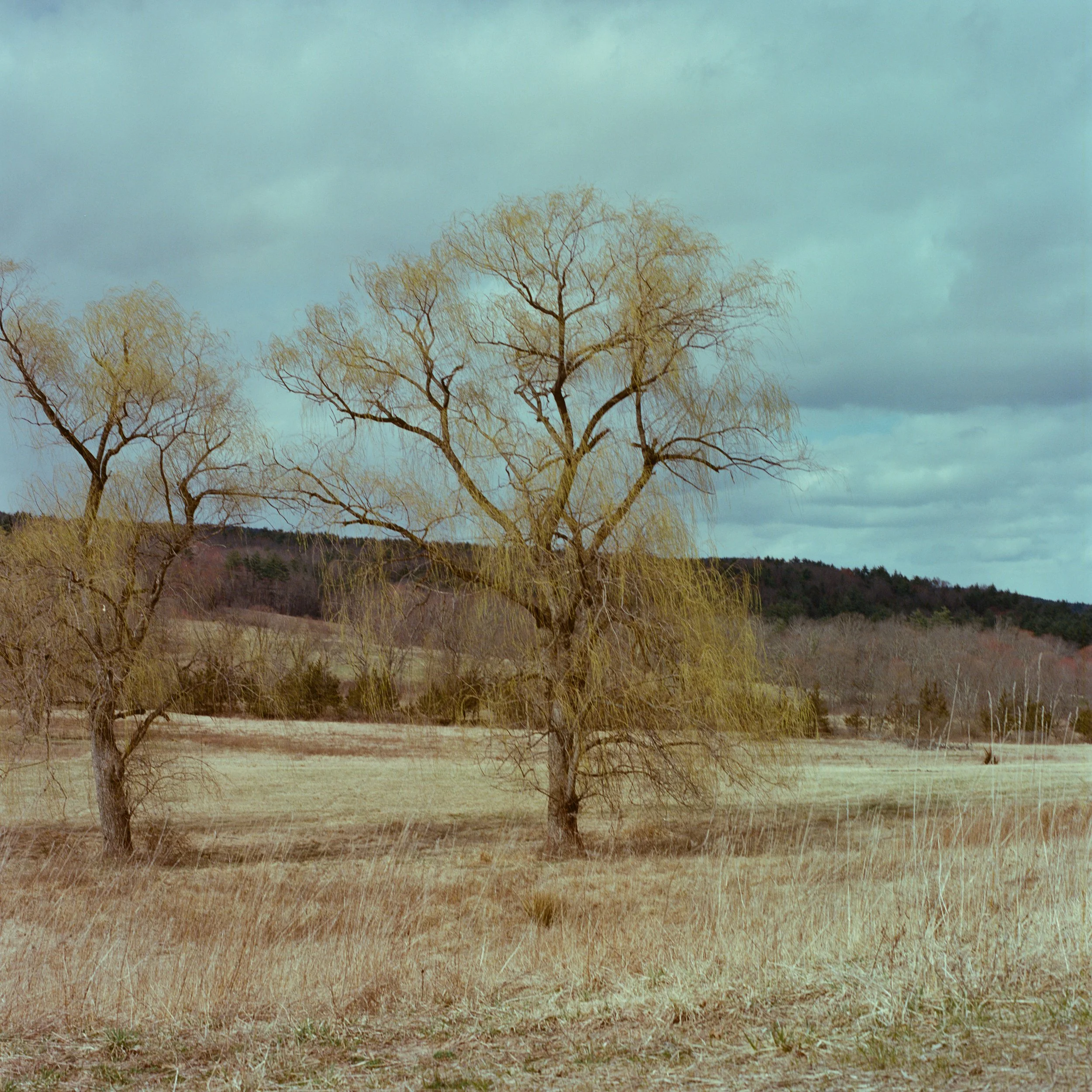 inness-5.JPG