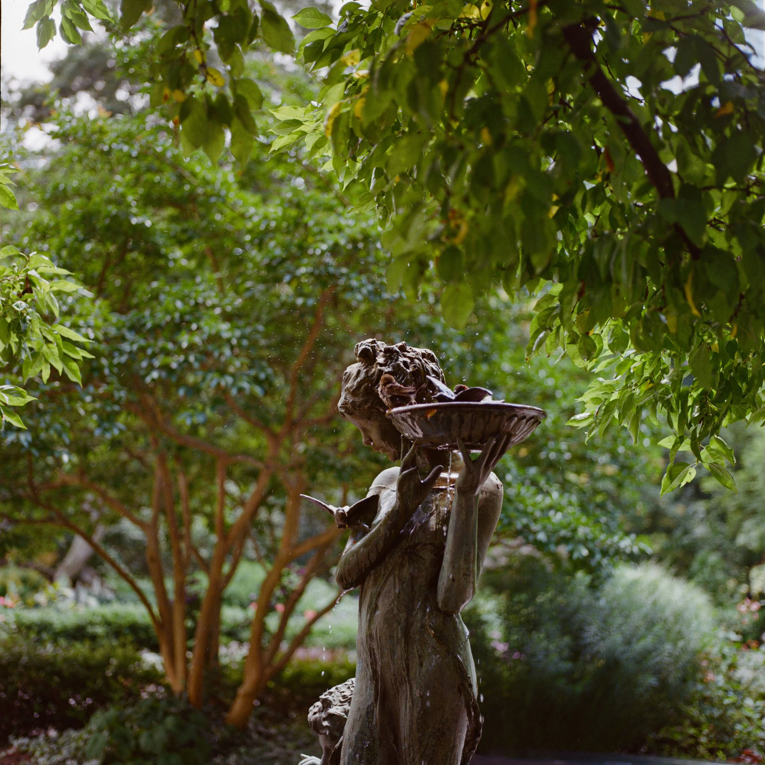 13 film birdbath-1.jpg