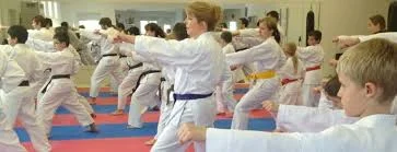 family karate pic.jpg