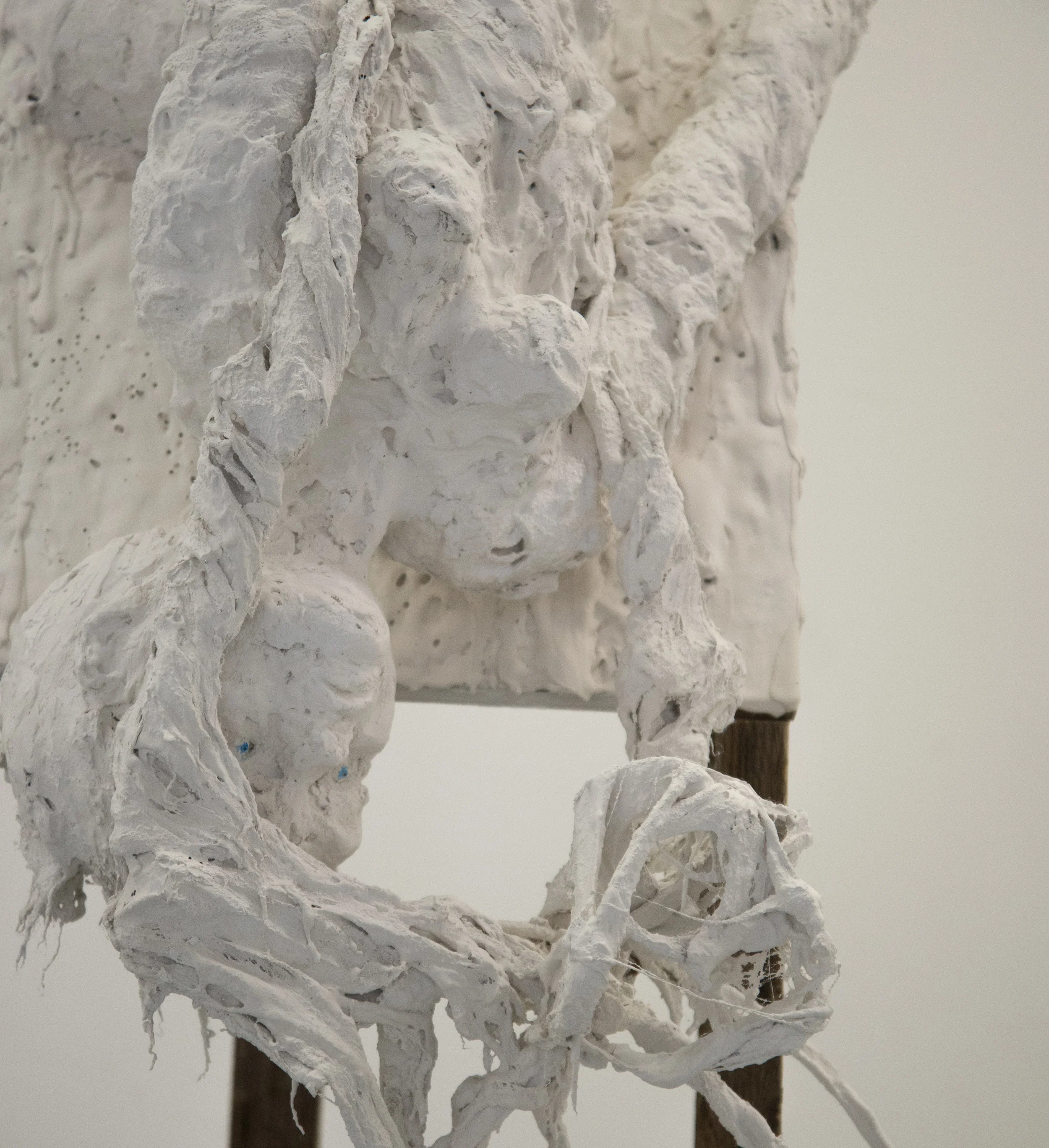  detail view 